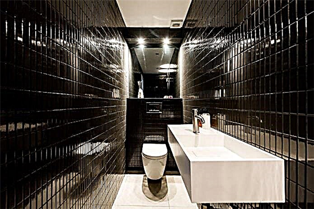 Interior wc leutik: fitur, desain, warna, gaya, 100+ poto