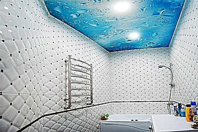 Langit-langit kamar mandi: rampung kanthi materi, desain, warna, desain, lampu