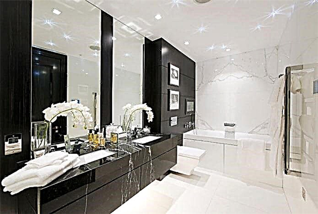 Хар ба цагаан угаалгын өрөө: өнгөлгөө, сантехник, тавилга, жорлонгийн засал чимэглэлийн сонголт