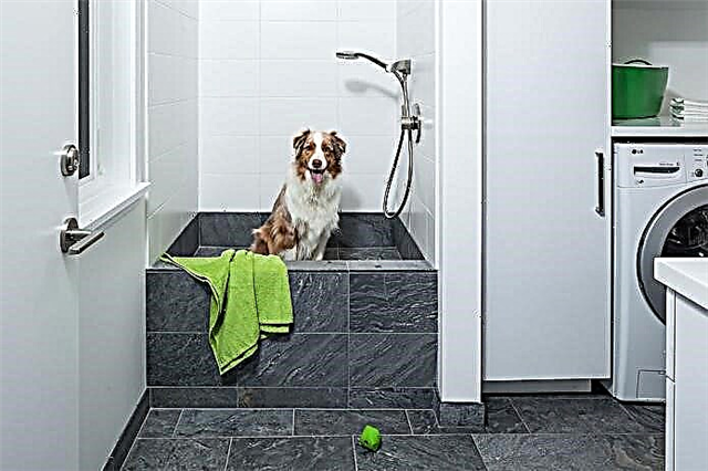 Badkamerergonomie - nuttige wenke vir die beplanning van 'n gesellige badkamer