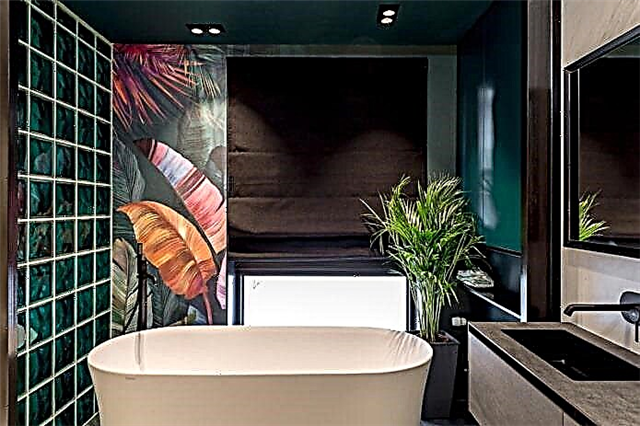 Терезеси бар ванна бөлмөсү: интерьердеги сүрөттөр жана дизайн идеялары