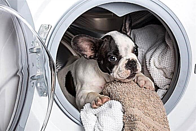 Moram li zatvoriti vrata mašine za pranje rublja? (Analizirajmo sve prednosti i nedostatke)