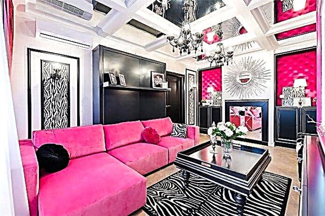 Deseño de sala de estar en rosa: 50 exemplos de fotos