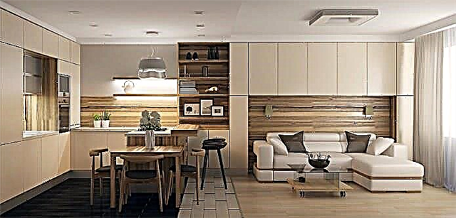 طراحی یک اتاق نشیمن آشپزخانه در یک آپارتمان: 7 پروژه مدرن