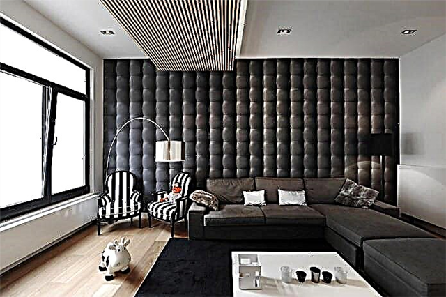 Dekorimi i murit në dhomën e ndenjes: zgjedhja e ngjyrave, përfundimet, muri i theksuar në brendësi