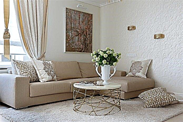 Deseño da sala de estar en cores claras: elección de estilo, cor, acabados, mobles e cortinas