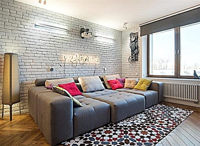 Kauč ​​u dnevnoj sobi: dizajn, vrste, materijali, mehanizmi, oblici, boje, izbor lokacije