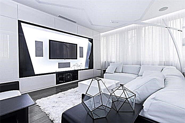 اتاق نشیمن سیاه و سفید: ویژگی های طراحی ، نمونه های واقعی در فضای داخلی