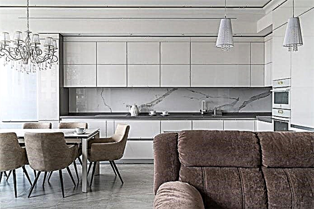 Дизајн на комбинирана кујна-трпезарија-дневна соба: најдобри идеи и фотографии