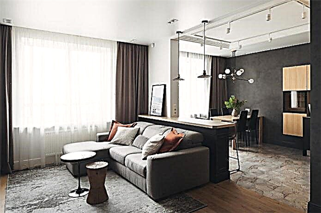 Cocina combinada-sala de estar 30 m² m. - foto no interior, planificación e zonificación