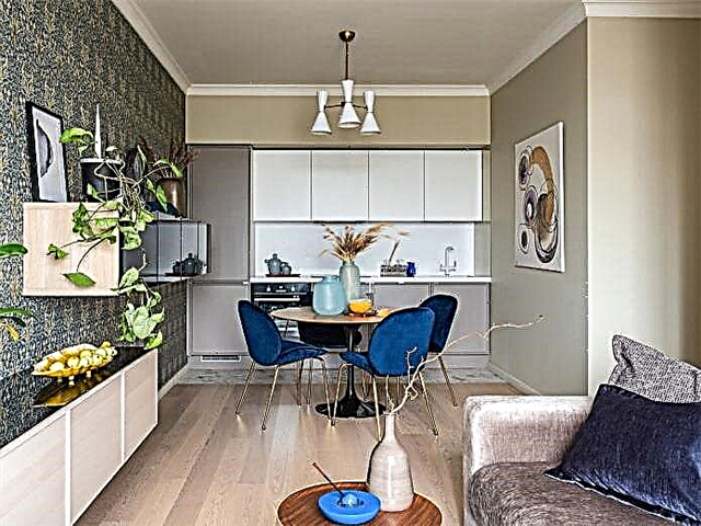 Kuhinja-dnevna soba 25 m2 - pregled najboljih rješenja 
