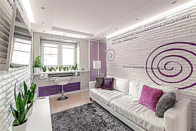 Deseño de sala de estar 16 m² - 50 fotos reais coas mellores solucións