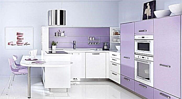 Dizajn kuhinje u lila tonovima: karakteristike, fotografije