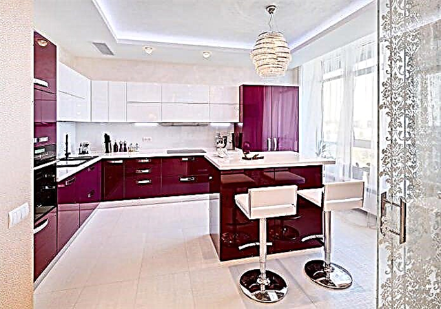 Desain dapur kanthi counter bar: 60 foto modern ing interior 