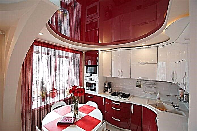 Опции за завршување на таванот во кујната: видови структури, боја, дизајн, осветлување, кадрави форми