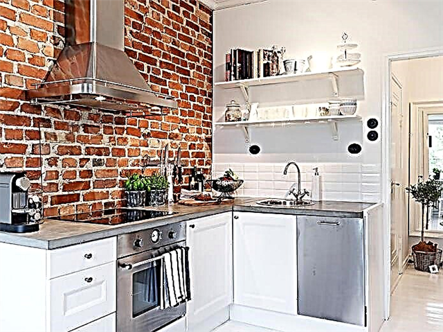 Cigla u kuhinji - primjeri modernog dizajna