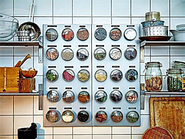 15 ideu panyimpenan rempah anu pangsaéna di dapur