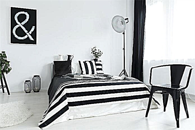 Kamar turu ireng lan putih: fitur desain, pilihan furnitur lan dekorasi