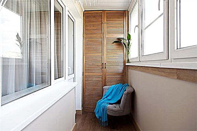 Балконға және лоджияларға арналған шкаф: түрлері, түстері, материалдары, орналасуы және толтыру нұсқалары