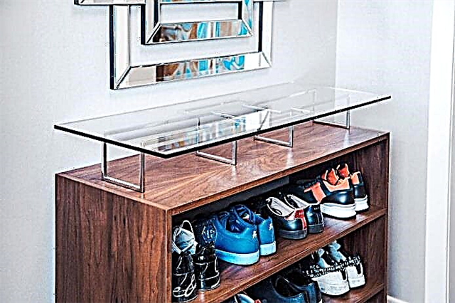 Stalak za cipele u hodniku: savjeti za odabir, vrste, oblici, materijali, boje
