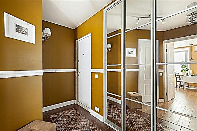Veshjet në korridor dhe korridor: llojet, përmbajtja e brendshme, vendndodhja, ngjyra, dizajni