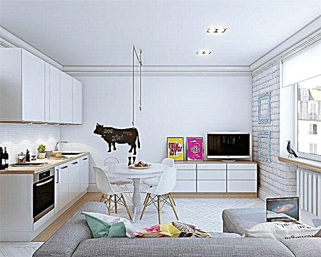 Skandinava interna projektado de malgranda studia apartamento de 24 kv. m.