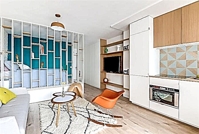 Desain apartemen studio 25 sq. m. - foto interior, proyek, aturan pengaturan