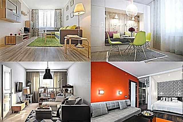 طراحی مدرن یک آپارتمان یک اتاقه: 13 پروژه برتر