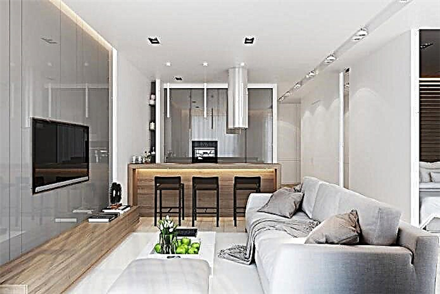 Desain apartemen 50 sq. m. - foto interior, tata letak, gaya