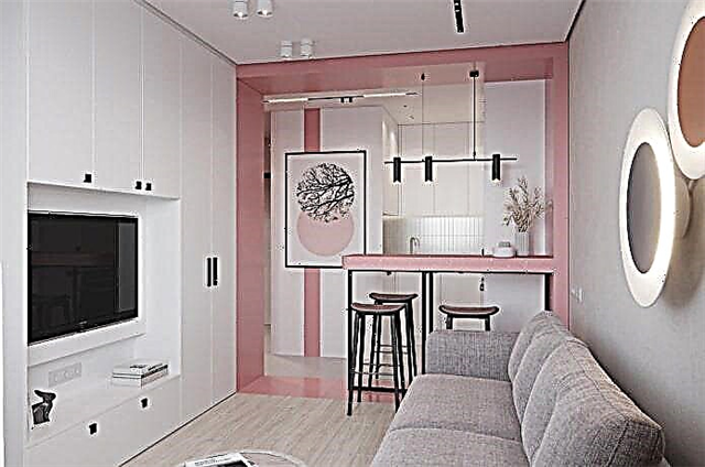 Projekt elegant i apartamentit në euro 33 m katrore në Shën Petersburg
