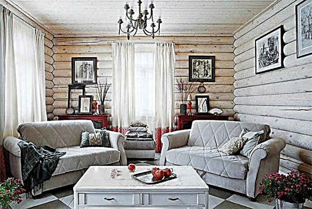 Regjistroni brendësinë e shtëpisë: foto në dhoma, stile, dekor, mobilje, tekstile dhe dekor