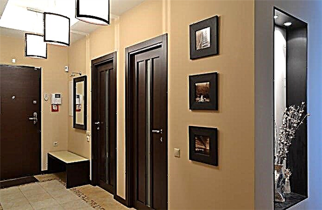 Portas escuras no interior: combinación coa cor do chan, paredes e mobles (60 fotos)