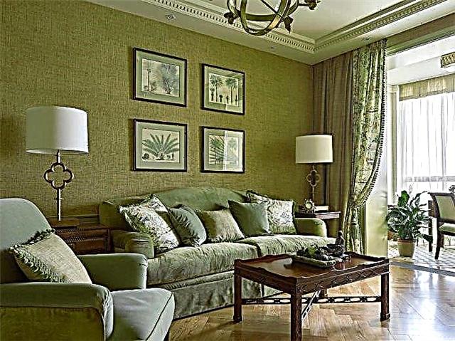 Deseño de interiores en cor oliva: combinacións, estilos, acabados, mobles, acentos