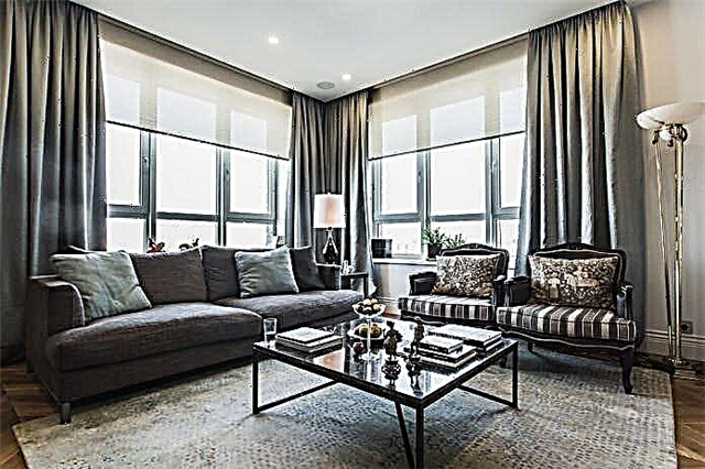 Cortinas grises no interior do apartamento: tipos, tecidos, estilos, combinacións, deseño e decoración