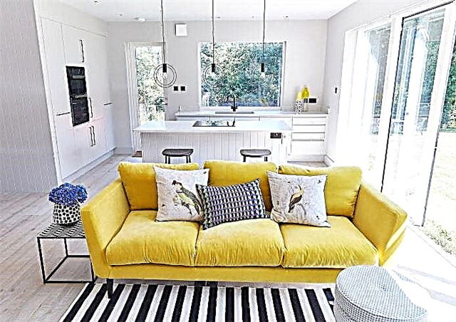 İnteryerdəki sarı divan: növləri, formaları, döşəmə materialları, dizaynı, çalarları, birləşmələri