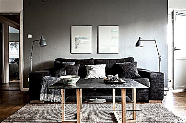 Schwaarze Sofa am Interieur: Polstermaterial, Nuancen, Formen, Design Iddien, Kombinatiounen