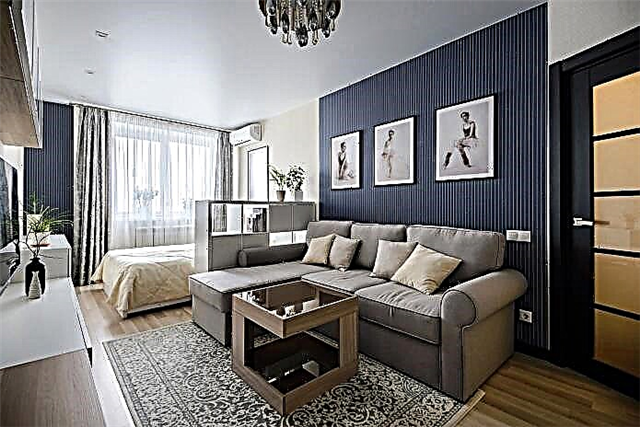 Dormitorio e sala de estar nunha habitación: exemplos de zonificación e deseño