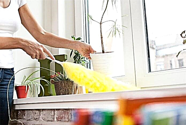 10 نکته مفید در مورد نحوه تمیز کردن سریع