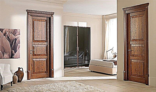 Pintu interior ing interior - jinis, bahan, warna