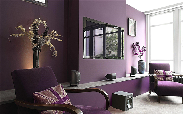 Purple Faarf am Interieur a seng Kombinatiounen