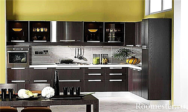Kuzhinë me ngjyra Wenge - dizajn dhe 25 foto