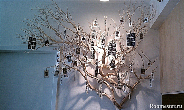 Idetë e zgjedhura për dekor të degës së pemës DIY